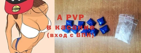 индика Аркадак