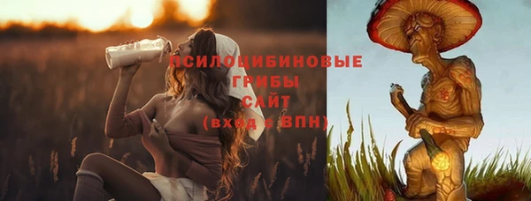 прущая мука Армянск