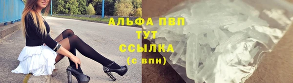 индика Аркадак