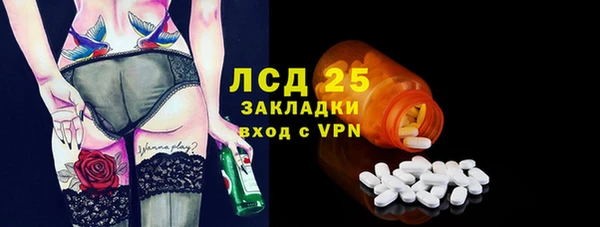 индика Аркадак
