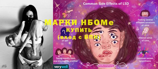 индика Аркадак