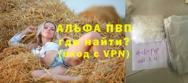 индика Аркадак