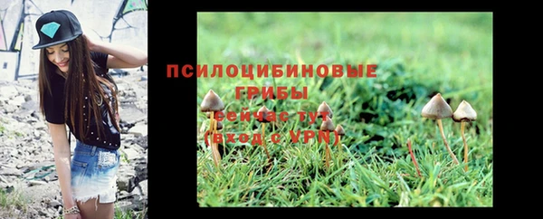 индика Аркадак