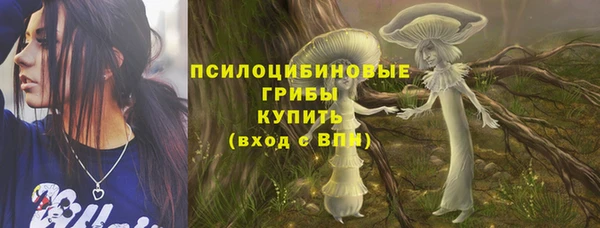 Альфа ПВП Арсеньев