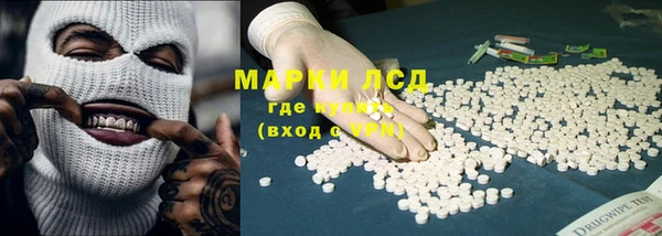 индика Аркадак