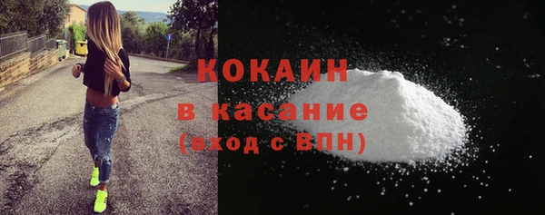 индика Аркадак