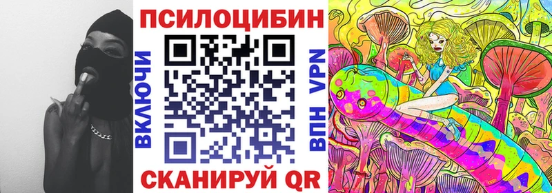 купить наркотик  Багратионовск  Галлюциногенные грибы Psilocybe 